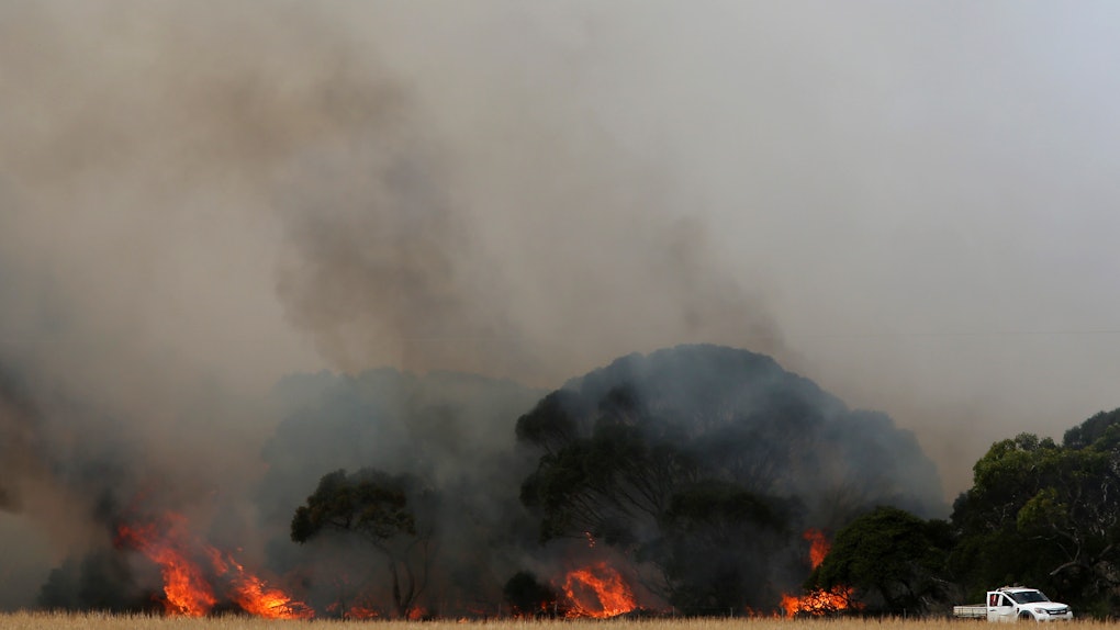 Can Australia Recover After The Bushfires Here Are The Possibilities