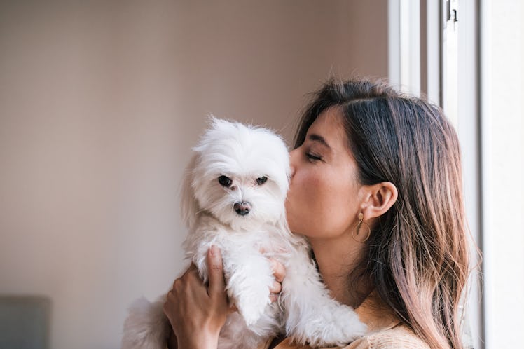 A young woman kisses her fluffy dog while hanging out in a hotel room.