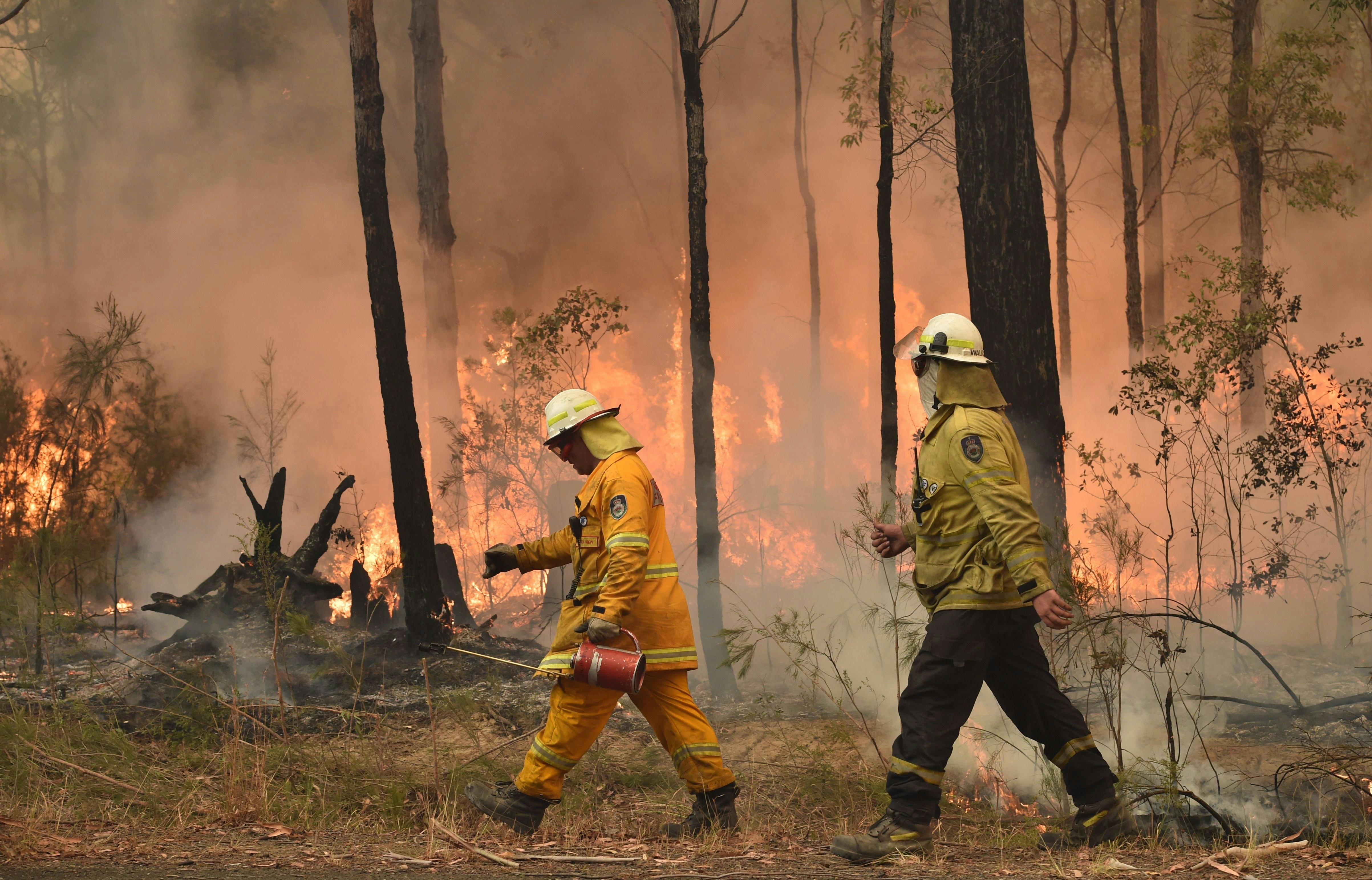 How To Donate To Causes Fighting The Australian Fires