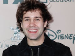 David Dobrik hits the red carpet at an event for FX.