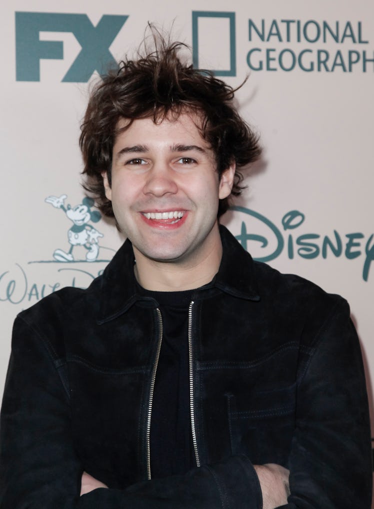 David Dobrik hits the red carpet at an event for FX.
