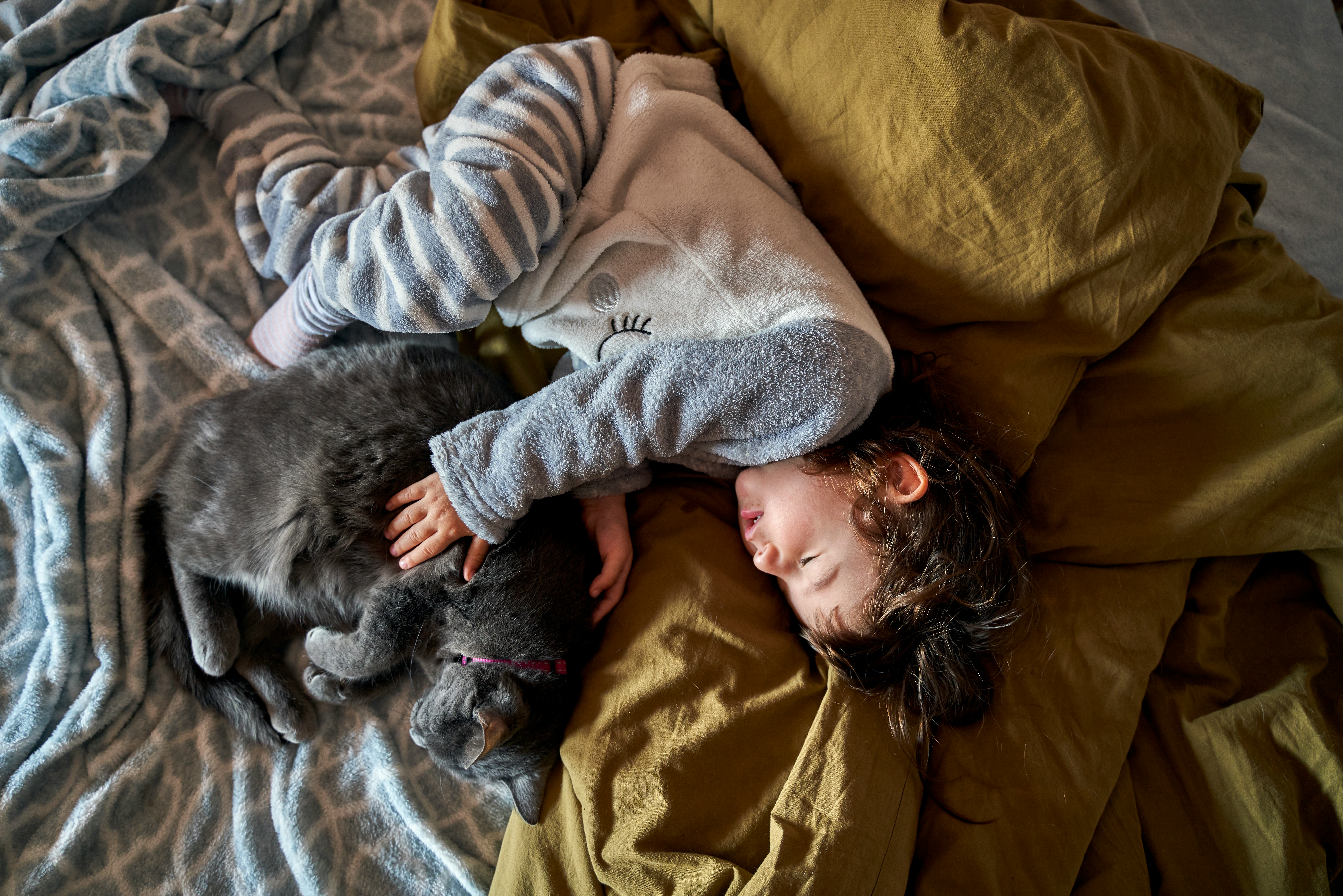 a toddler and cat napping together on a bed