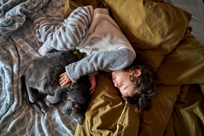 a toddler and cat napping together on a bed
