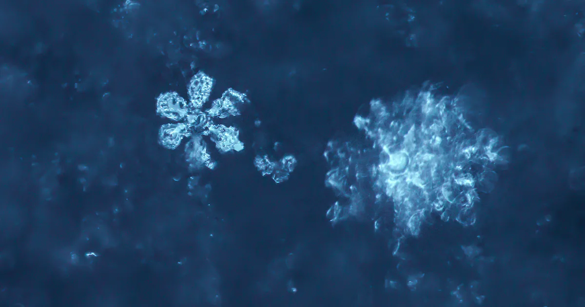 How Do Snowflakes Form? The American Chemical Society Shows Why Each ...