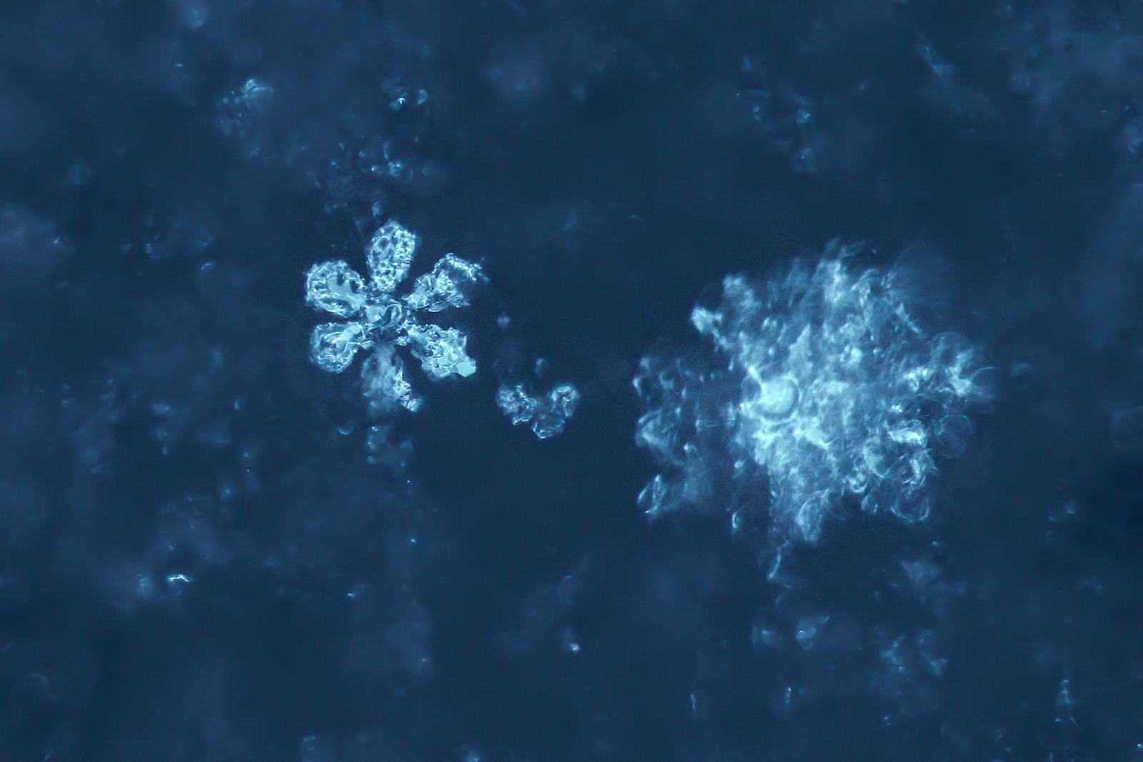 How Do Snowflakes Form? The American Chemical Society Shows Why Each ...