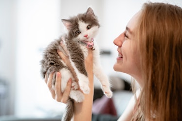 A happy woman smiles and holds up her sweet kitten on a sunny day.