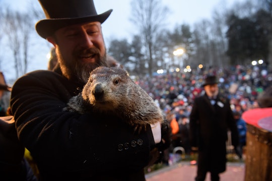 Groundhog Day 2020 is Sunday, February 2.