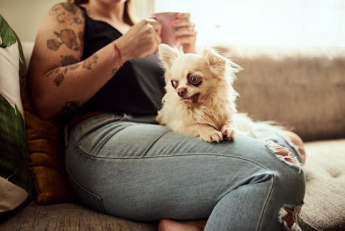 A woman drinks coffee with a dog on her lap. Doing Dry January can trigger symptoms of anxiety, but ...