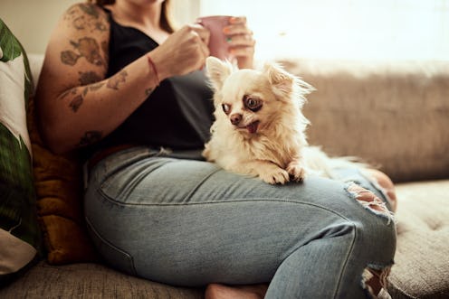 A woman drinks coffee with a dog on her lap. Doing Dry January can trigger symptoms of anxiety, but ...