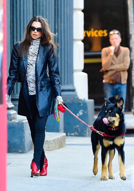While walking her dog, EmRata wears a zebra-printed turtleneck paired with a black leather blazer, p...