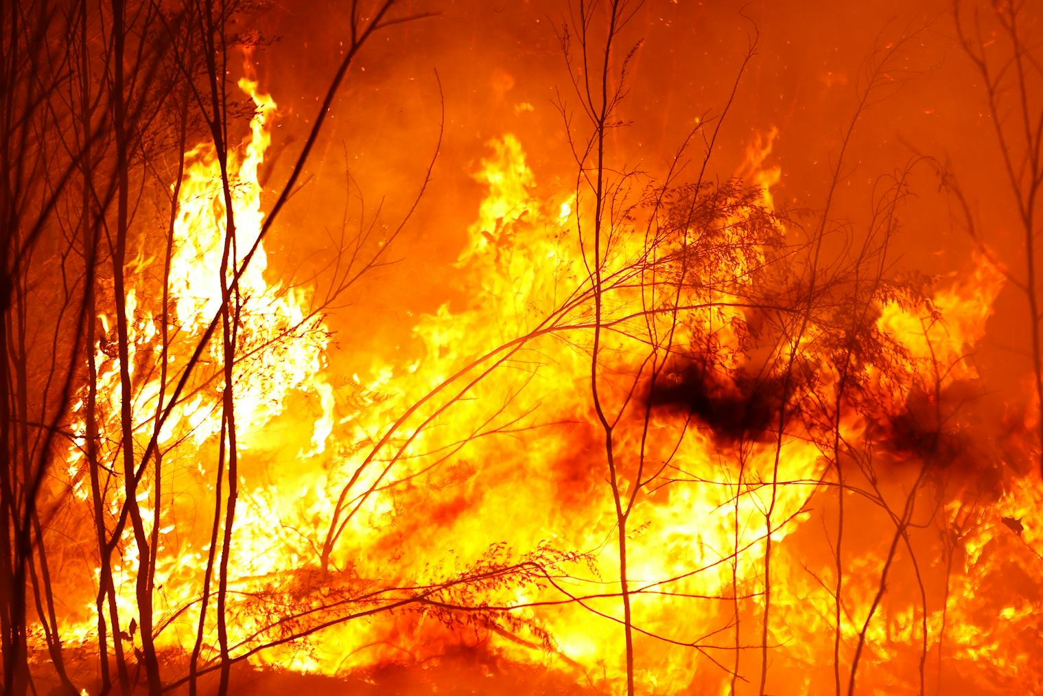 Where Are The Fires In Australia? A Breakdown Of The Areas Affected