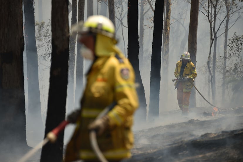 About 2,700 firefighters are reported to be battling the bushfires in Australia. 