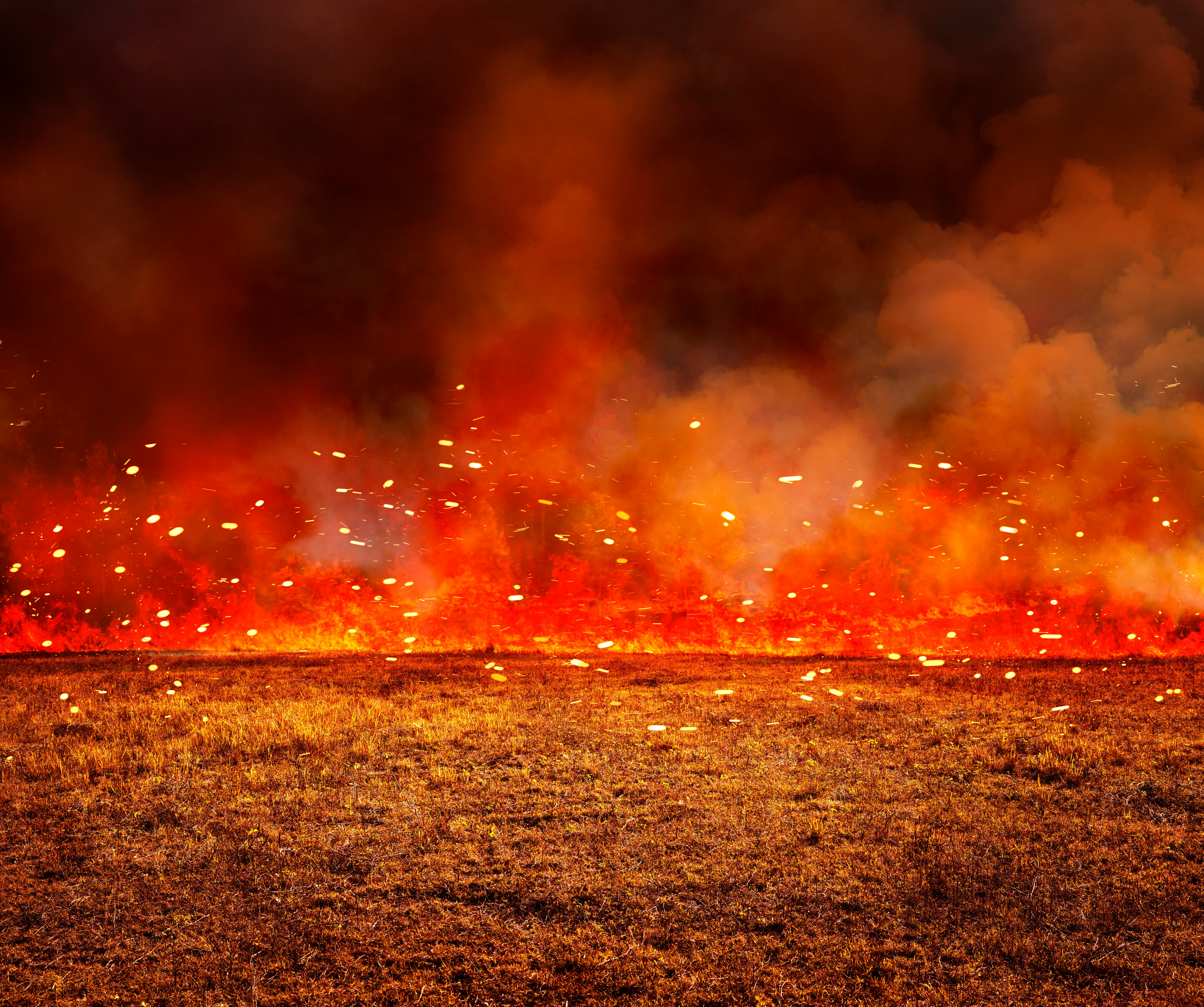 9 Australia Fire Statistics That Show The Degree Of Its Impact