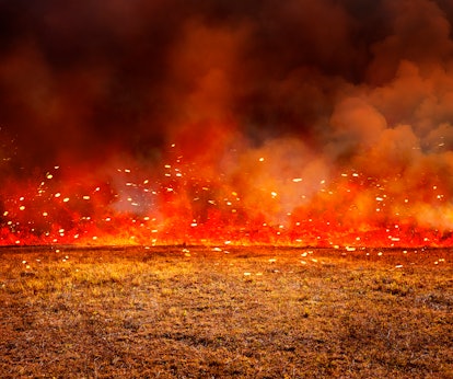 The Australian wildfires are reported to be much larger than the California wildfires in 2019. 