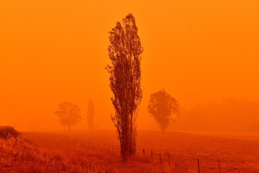 Fire season in Australia typically lasts until January or February. 