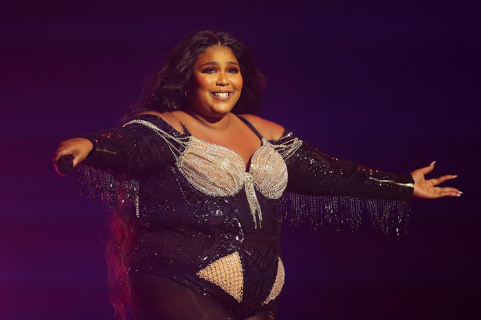 Lizzo donated her time to Foodbank Victoria to help with Australian bushfire relief while on tour in...