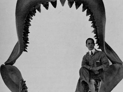 An old photograph of a man posing inside of the remains of a Megalodon's jaws