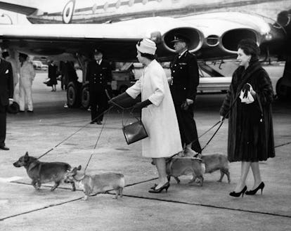 Vintage photo of Queen Elizabeth II with her corgis