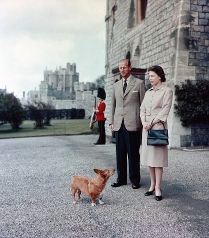 Vintage photo of Queen Elizabeth II with her corgis