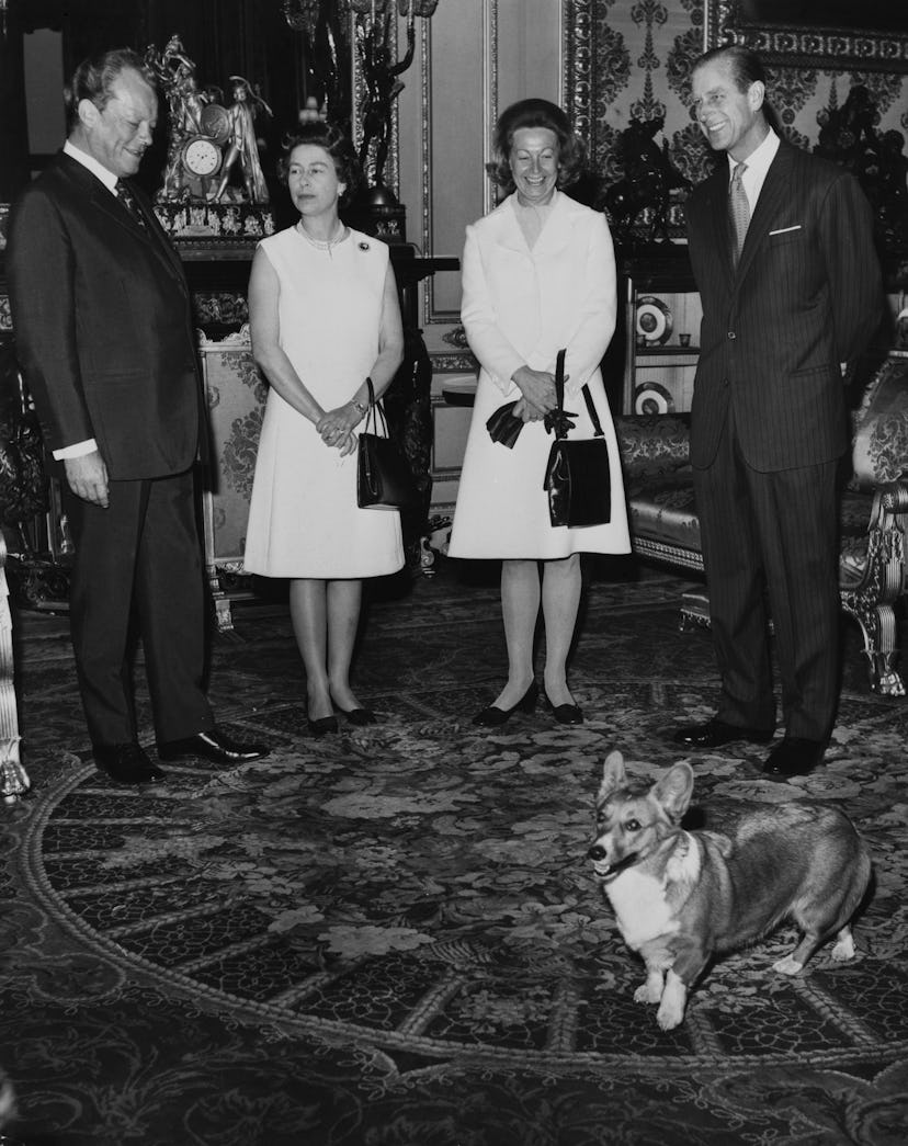 Vintage photo of Queen Elizabeth II with her corgis