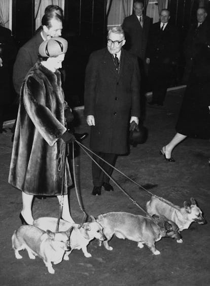 Vintage photo of Queen Elizabeth II with her corgis