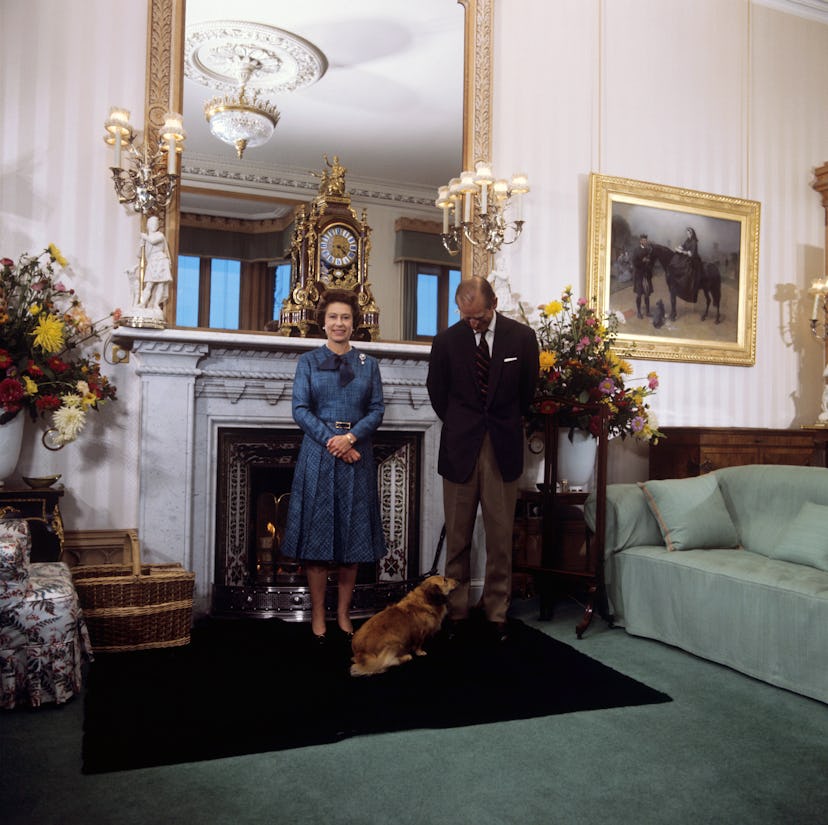 Vintage photo of Queen Elizabeth II with her corgis