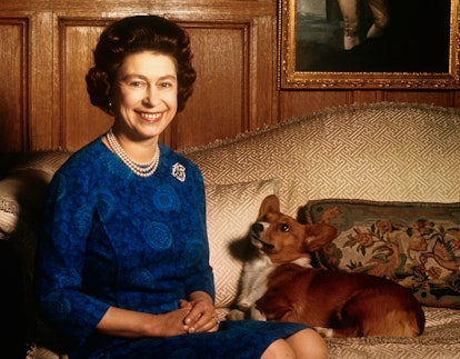 Vintage photo of Queen Elizabeth II with her corgis