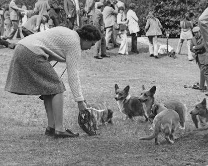 Vintage photo of Queen Elizabeth II with her corgis