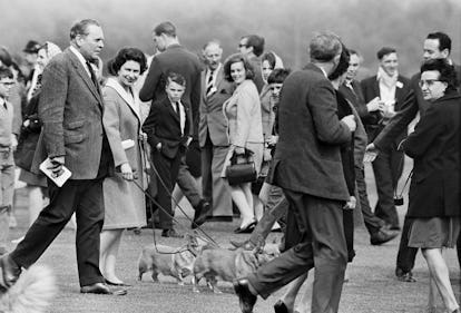 Vintage photo of Queen Elizabeth II with her corgis