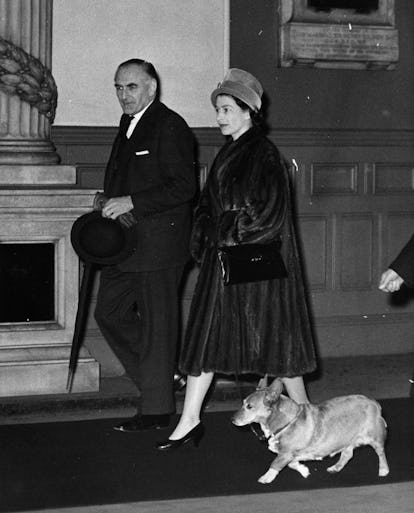 Vintage photo of Queen Elizabeth II with her corgis