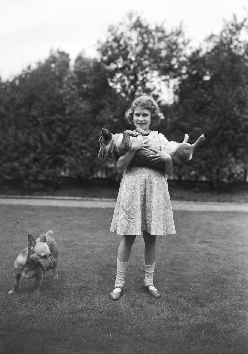 Vintage photo of Queen Elizabeth II with her corgis