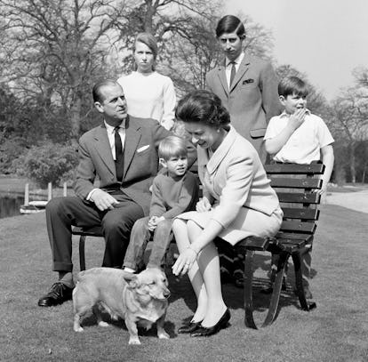 Vintage photo of Queen Elizabeth II with her corgis