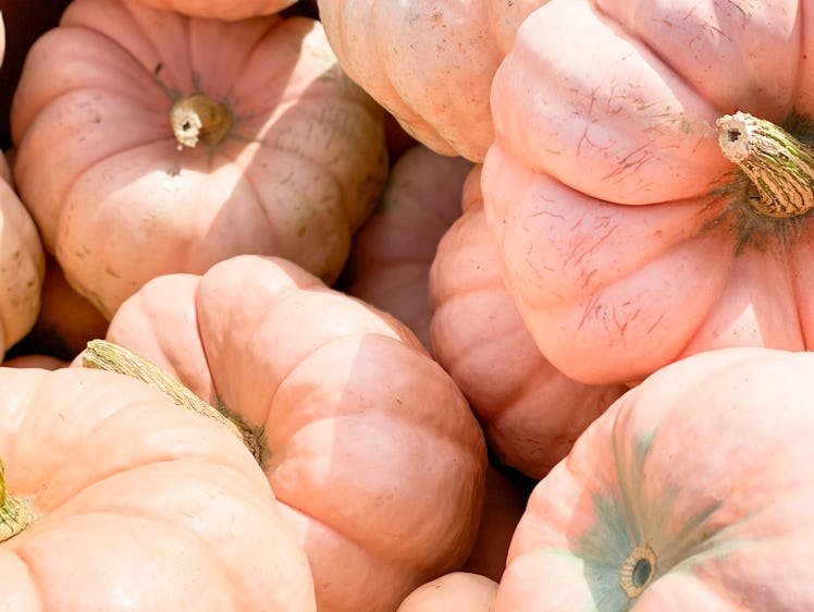 A bunch of pink pumpkins are grouped together.