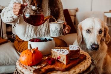 A young woman pours tea into a mug while enjoying a pumpkin spice cake and sitting with her dog.