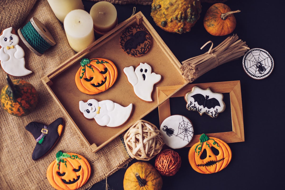 Decorated pumpkin spice cookies sit on a tray surrounded by fall decor.