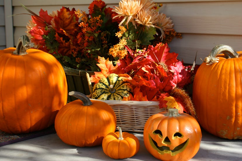 Experts say pumpkins can stay good for five to eight weeks in the right conditions.
