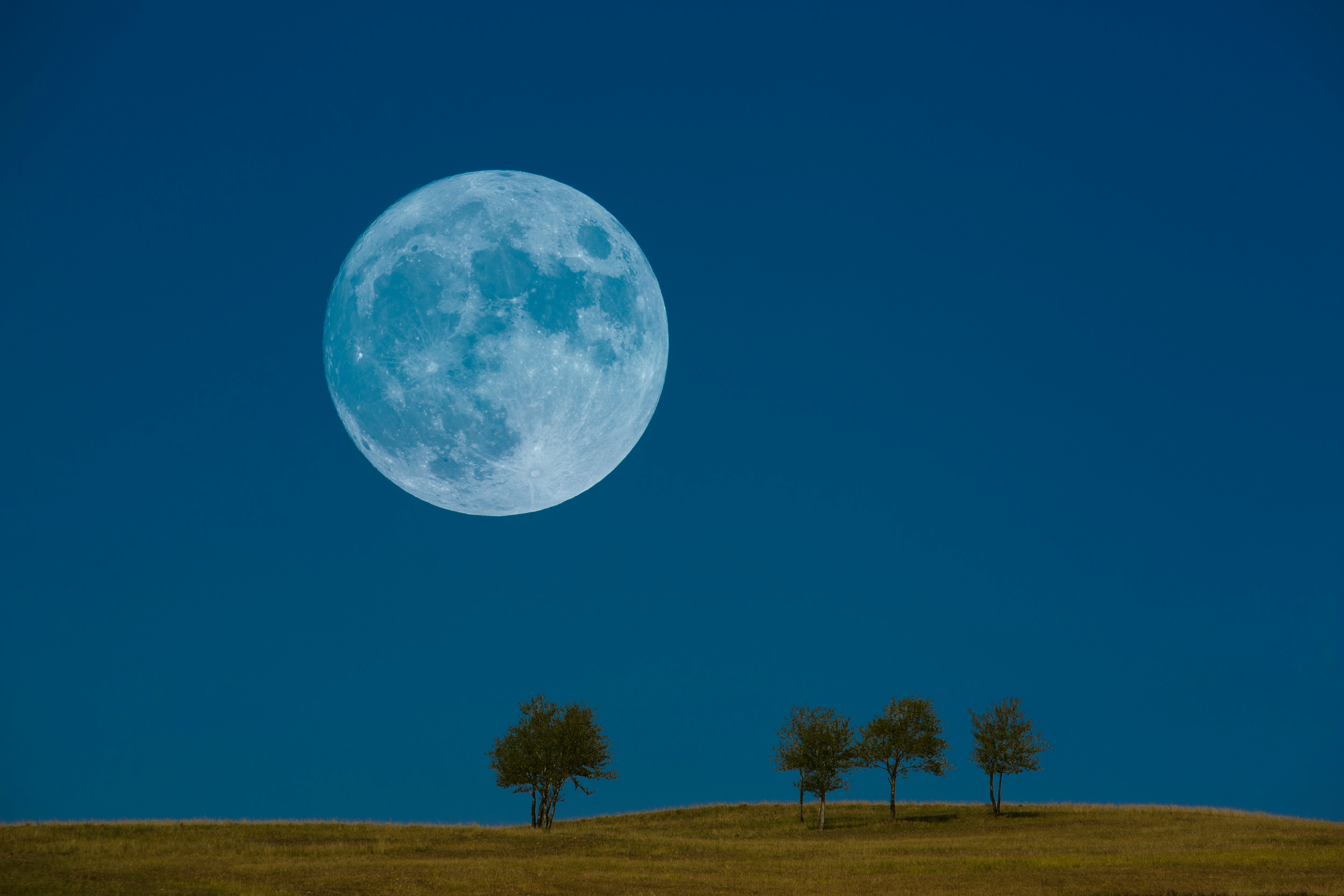 Полная луна 2. Синяя Луна. Blue Moon КБ. Blue Moon. Голубая Луна Мем.