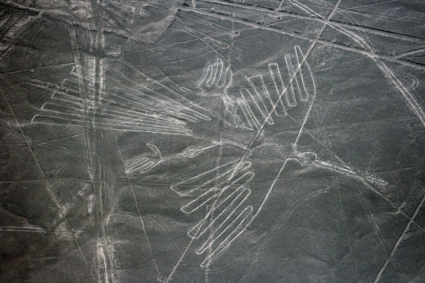Nazca lines in Peru that depict a condor.