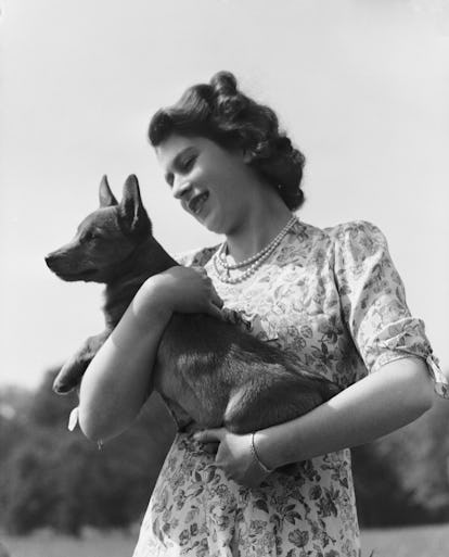 Vintage photo of Queen Elizabeth II with her corgis