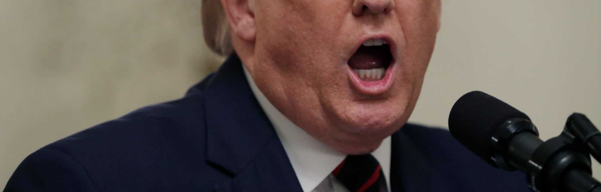 The president of United States, Donald Trump, can be seen mid-sentence.