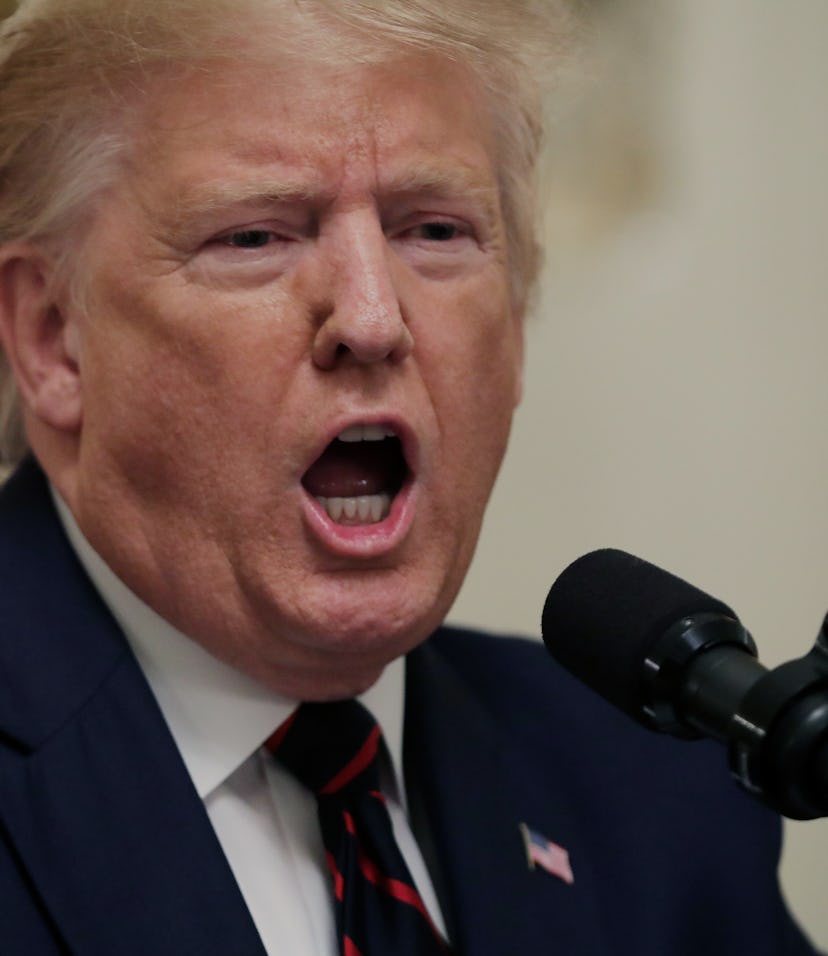 The president of United States, Donald Trump, can be seen mid-sentence.