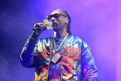 Snoop Dogg performs live.