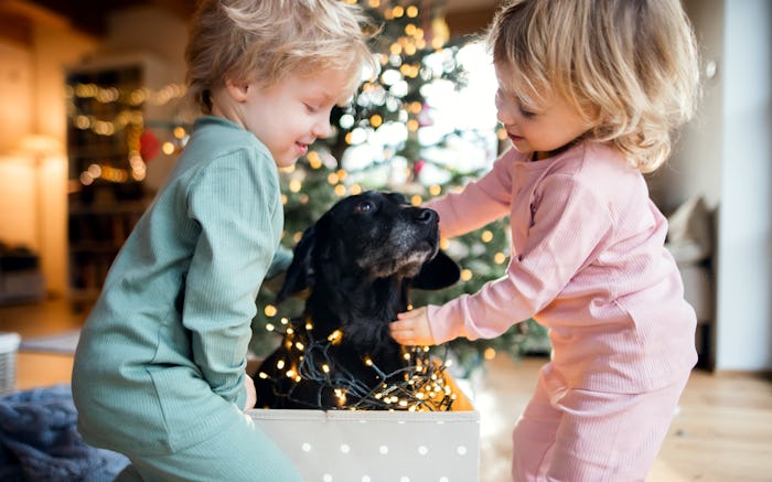 toddler twins playing with dog on christmas