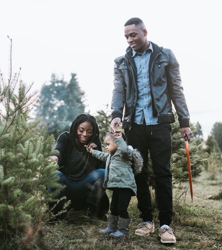 Experts say the best time to pick out a Christmas tree is late November.