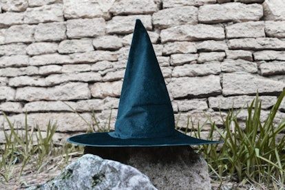 A witch's hat sits on a rock in a backyard.