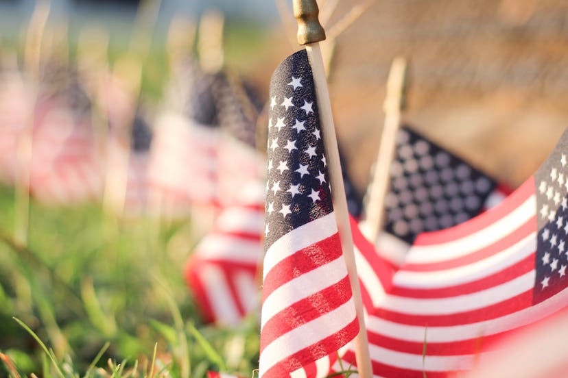 American flags in the ground. Young voters have diverse opinions on covid-19, voting, and more.
