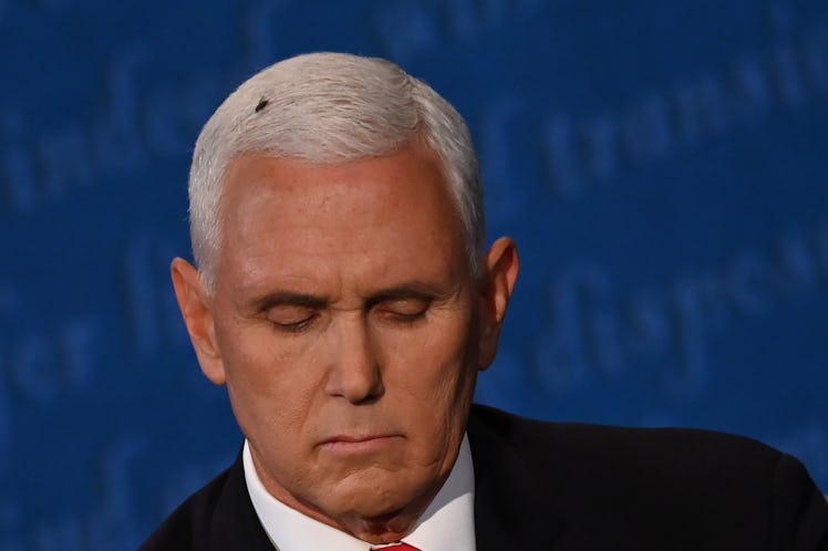 Lizzo's fly on Pence's head Halloween costume is a hilarious take on the awkward moment.