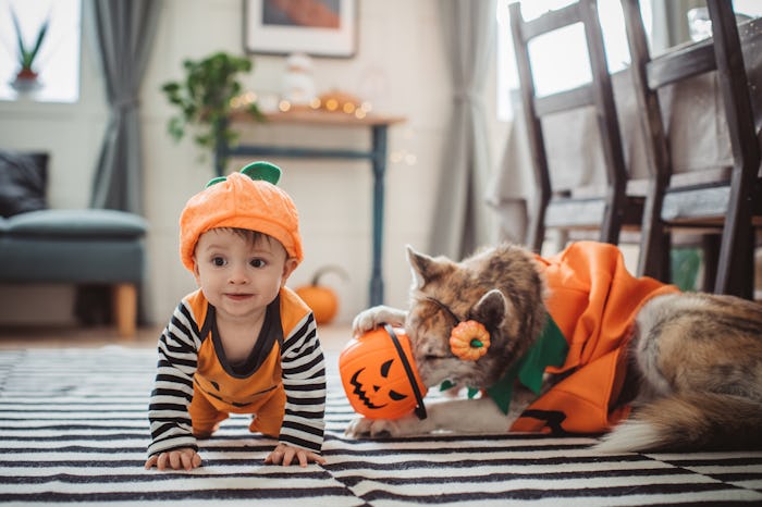 baby and dog in halloween pumpkin costumes