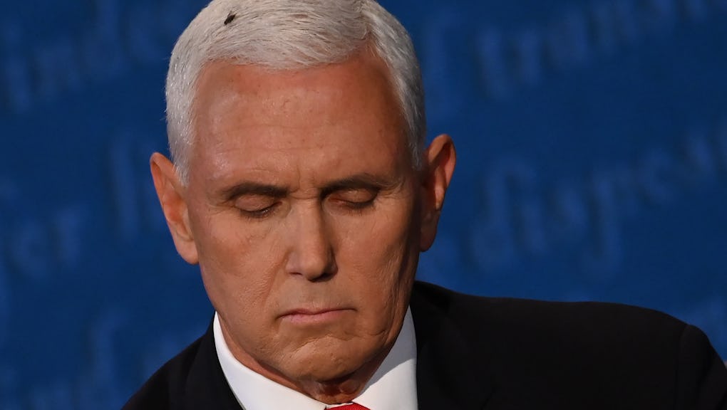 The Debate Fly Memes Jumped The Shark Almost Immediately