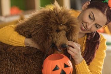 A woman hands her dog a jack-o-lantern basket for Halloween. 